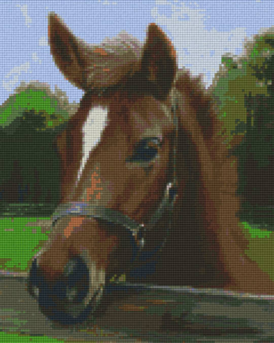 Horses Head Nine [9] Baseplate PixelHobby Mini-mosaic Art Kit